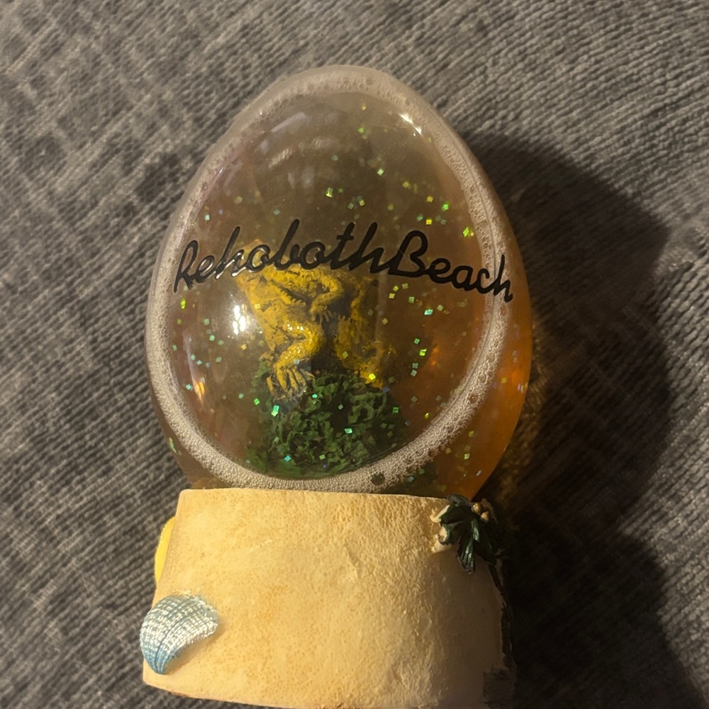 Rehoboth Beach Snow Globe with Frog
